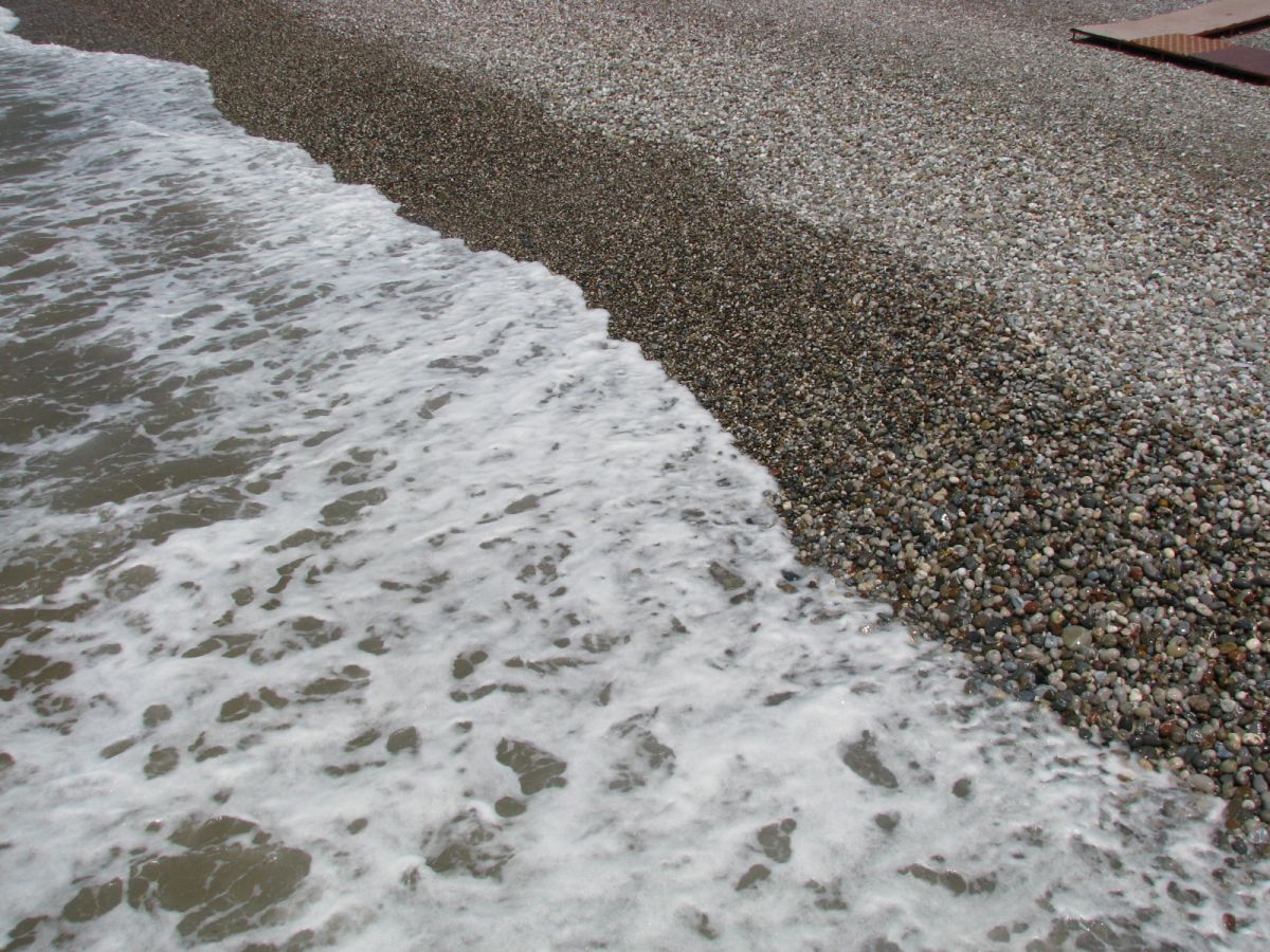 imagini hotel DELPHIN BOTANIK